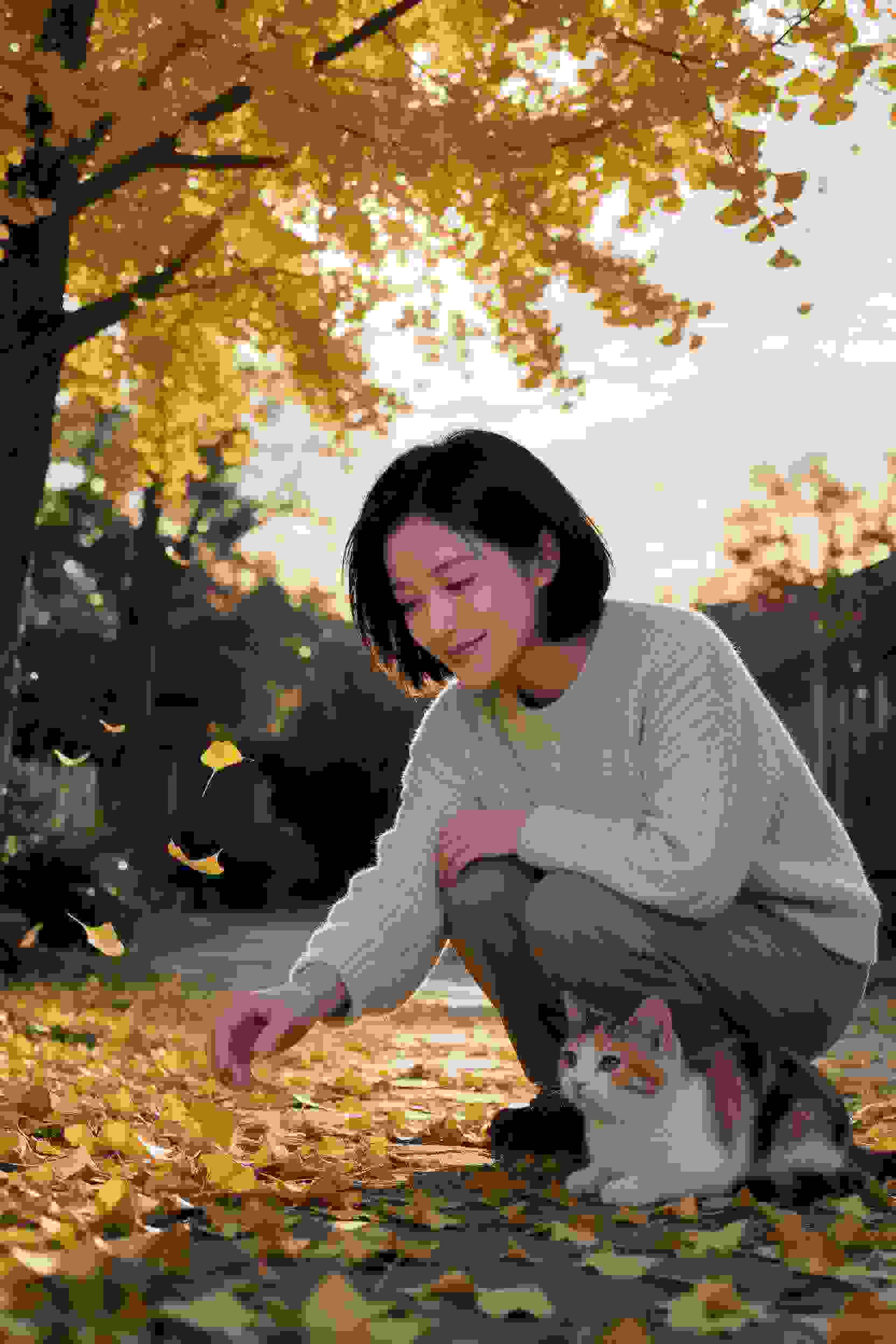 龙之传说